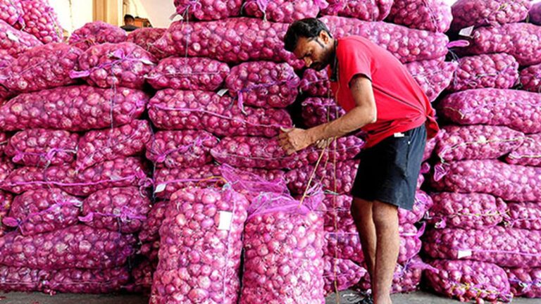 केंद्र सरकारने कांद्यावरील 20 टक्के निर्यात शुल्क हटवले