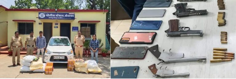 फरार गुन्हेगाराच्या घरातून तीन माऊझर, देशी कट्टे आणि गांजा जप्त