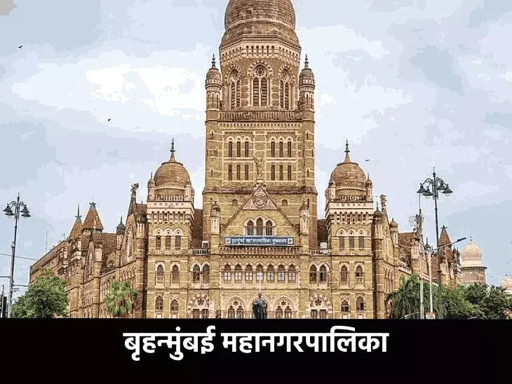 स्थानिक स्वराज्य संस्थांच्या निवडणुका..