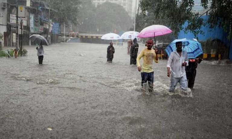 Average rainfall : नागपूर जिल्ह्यात सर्वाधिक ४४ % कमी पाऊस