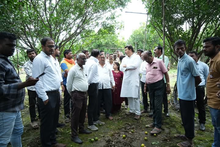 धुवाधार पावसाने संत्राबागा जमीनदोस्त, कपाशीसह मोसंबी भुईसपाट – पिकांची नासाडी