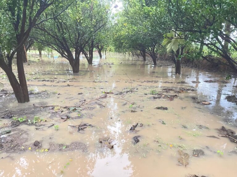 कळमेश्वर तालुक्यात 3 तास तुफानी वादळी पावसाचा कहर
