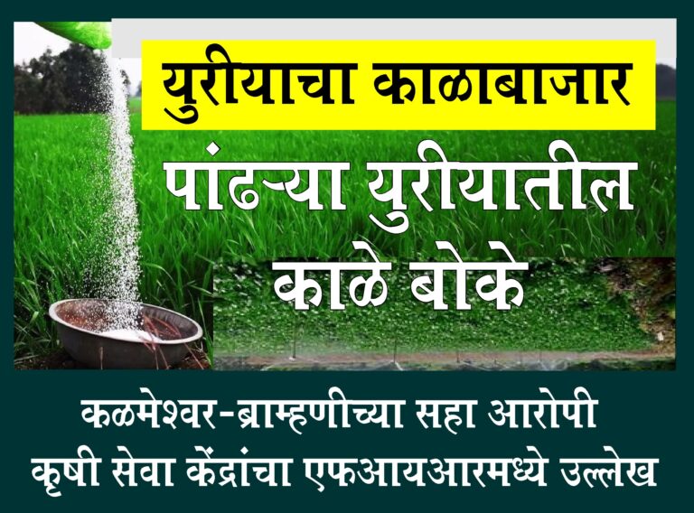 कळमेश्वर MIDC : अनुदानित खताचा काळाबाजार