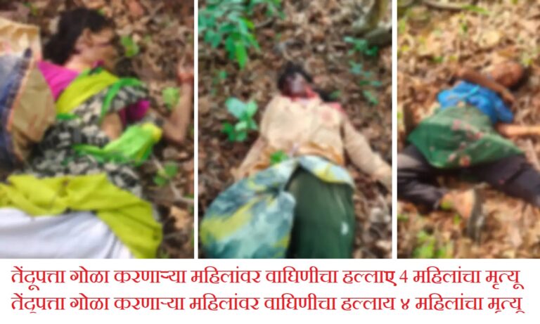 तेंदूपत्ता गोळा करणाऱ्या महिलांवर वाघिणीचा हल्ला; ४ महिलांचा मृत्यू
