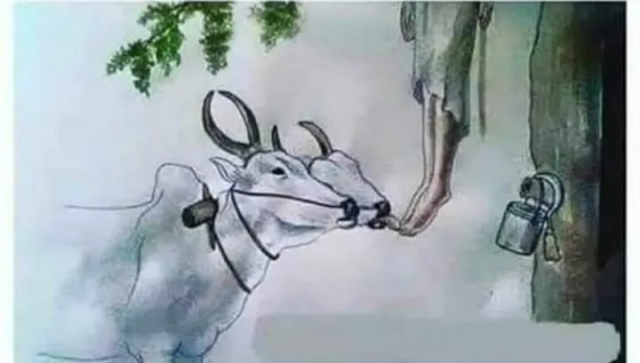 नापिकी, कर्जबाजारीपणाचा विळखा; बोरगाव निस्तानेच्या शेतकऱ्याची आत्महत्या
